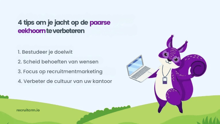 4 goede tips om paarse eekhoorns