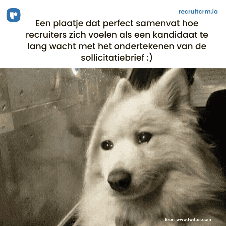 sollicitatiebrieven