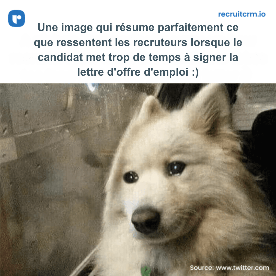lettre d'offre d'emploi