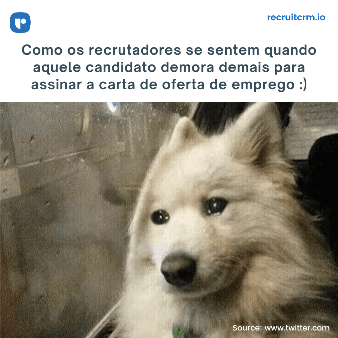 carta de oferta de emprego