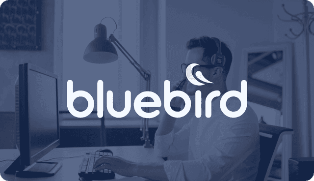 bluebird