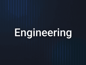 Chief Information Officer (CIO)