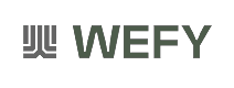 Wefy Group