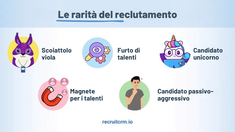 i linguaggi delle assunzioni