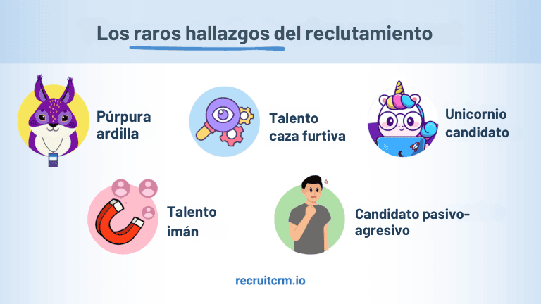 palabras de moda de contratación