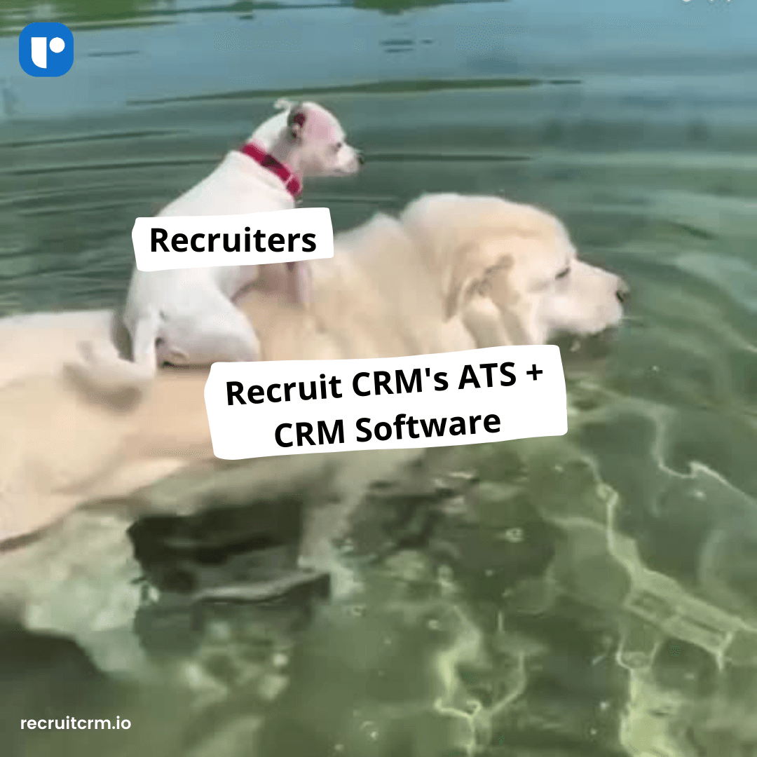 小型企业招聘软件