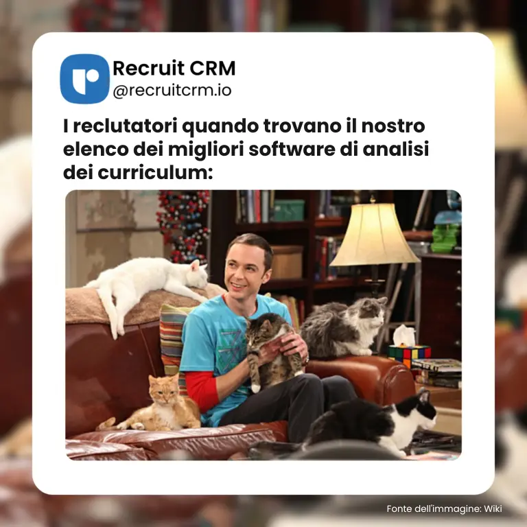 software di curriculum