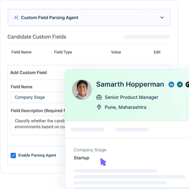Custom Field Parsing Agent