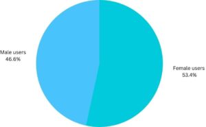 demografia degli utenti di tiktok basata sul genere  