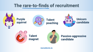 recruitment buzzwords related to talent and talent pool