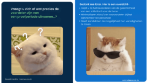  3 belangrijke om op te letten