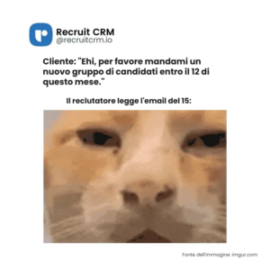 meme di reclutatori 
