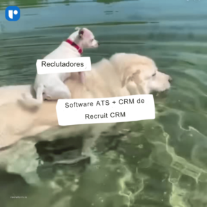 software de contratación 