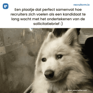 sollicitatiebrieven