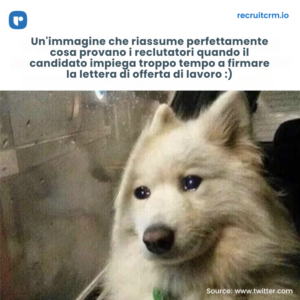 lettera di offerta 