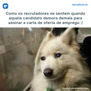 carta de oferta de emprego