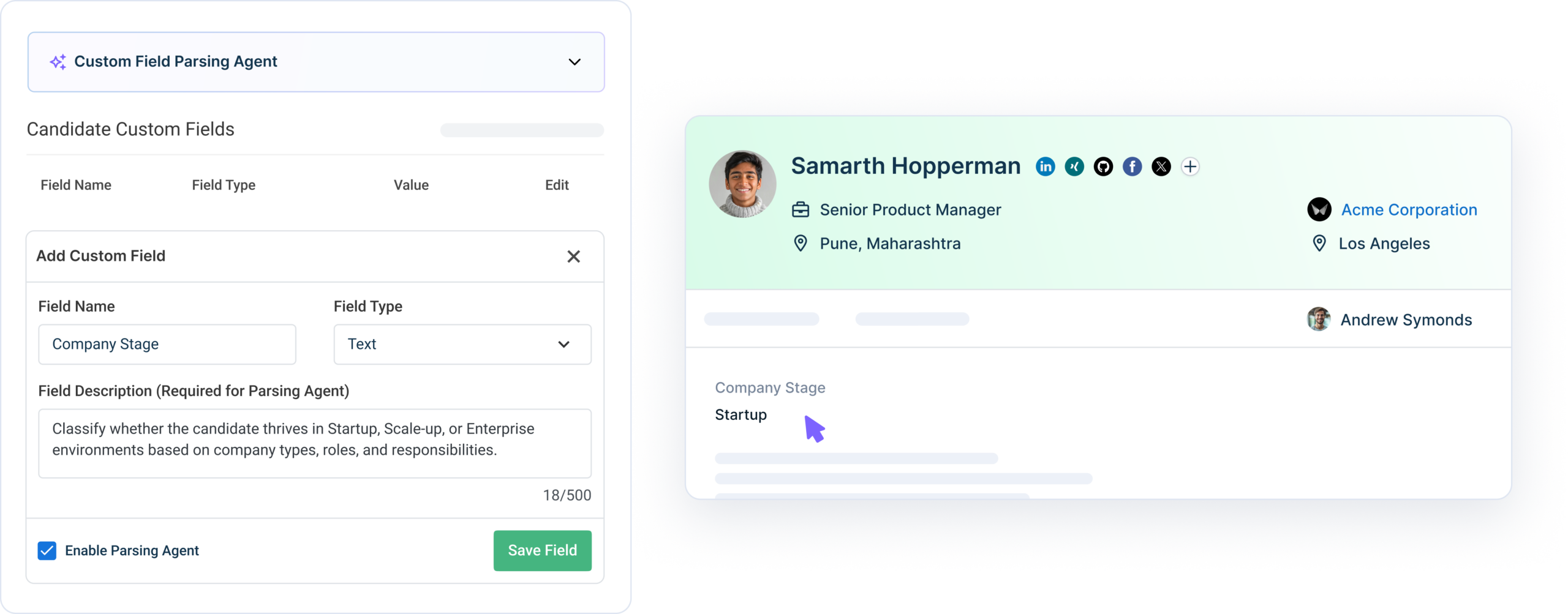 Custom Field Parsing Agent